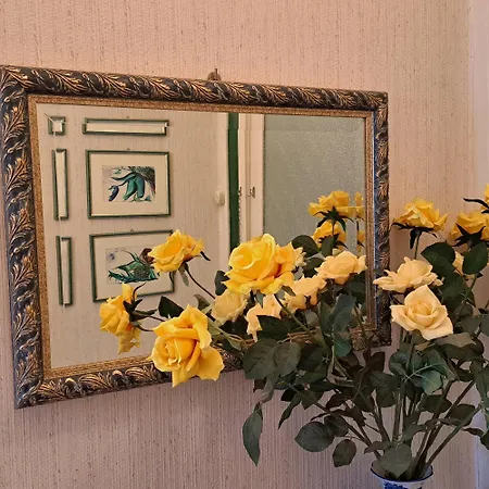 Apartmán Seba House *